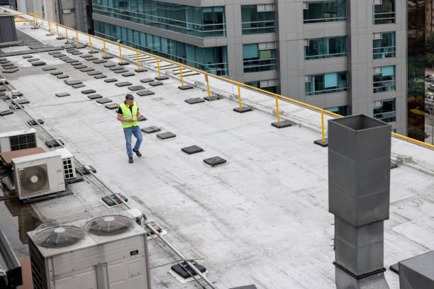 Best Storm Damage Roof Repair  in Travelers Rest, SC